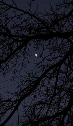 the moon is seen through the branches of a tree at night, with no leaves on it