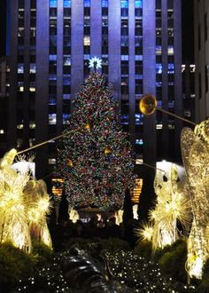 the christmas tree is surrounded by angel statues in front of a large building at night