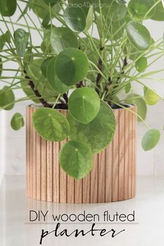 a wooden planter with plants in it and the words diy wooden fluted planter