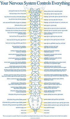 Pars Defect, Massage Anatomy, Spine Anatomy, Nervus Vagus, Aaron Lewis, Physical Wellbeing, Tens Machine, Health Disease