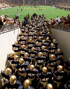 a large group of football players sitting on the sidelines at a stadium with fans in the stands