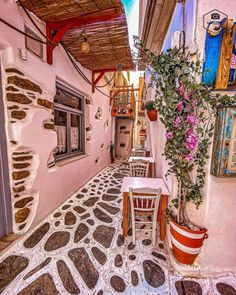 an alley way with tables and chairs on the side, flowers in potted plants