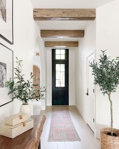 an entry way with a potted plant and pictures hanging on the wall next to it