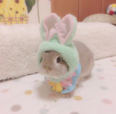 a small gray and white rabbit wearing a blue bunny ears hat on top of a bed