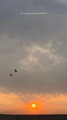 two birds flying in front of the sun during sunset or sunrise on a cloudy day