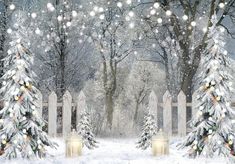 Winter Wonderland Photography Backdrop - Gatsby Backdrop Snow Scenes Photography, Pine Tree Background, Making Backdrops, Studio Booth, Wonderland Decorations, Summer Snow, Winter Aesthetics, Snowy Woods, Photobooth Props