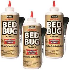 three bottles of bed bug powder sitting next to each other