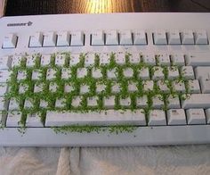 a computer keyboard covered in green plants