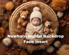 a newborn baby in a basket surrounded by teddy bears with the words newborn digital backdrop face insert