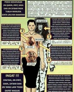 the human body and its major functions in different languages, including words that describe it