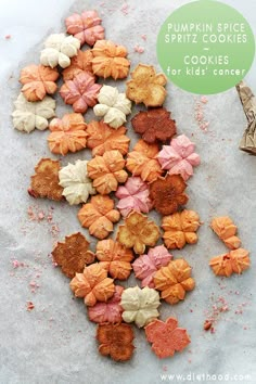 pumpkin spice spritz cookies for kids to make with the help of an adult