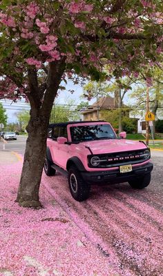 a pink pick up truck parked under a tree with pink flowers on it's ground