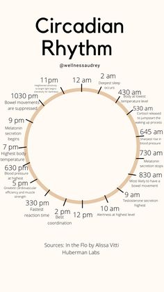 #circadianrhythm #wellnesslifestyle #healthylifestyle #healthyroutine #mindbodysoul Nervus Vagus, Mental Health Facts, Sup Yoga, Integrative Health, Medical Knowledge, Hormone Health, Circadian Rhythm, Health Knowledge, Mental And Emotional Health