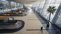 an airport terminal with luggage carts and palm trees