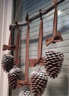 some pine cones are hanging from a tree branch and tied with brown ribbon to hang on the front door