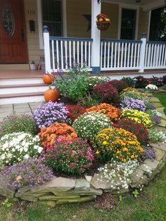 a flower bed in front of a house with pumpkins and flowers on the ground