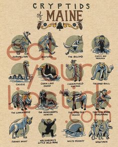 an old poster with many different types of animals