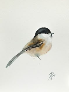 a watercolor painting of a bird on a white background