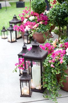 several lit lanterns are lined up on the sidewalk with flowers in pots and potted plants behind them