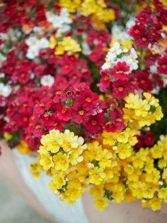 many colorful flowers are in a white vase