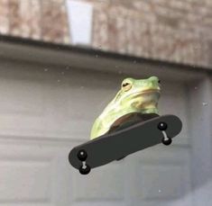 a green frog sitting on top of a skateboard in front of a garage door