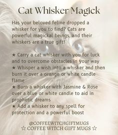 Spells With Cat Whiskers, Cat Whiskers Witchcraft, Cat Spells, Cat Witchcraft, Feline Energy, Spell Components, Witchcraft Meaning, Mountain Witch, Witch Cats