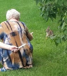 an older woman sitting on the grass next to a small cat looking at something in the distance