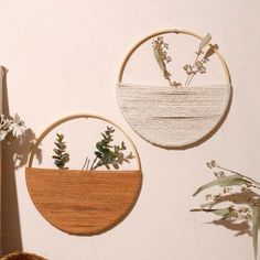 three circular wall hangings with plants and flowers in them on a white wall next to a vase