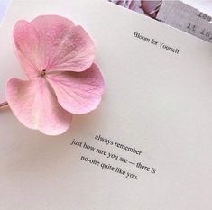 a pink flower laying on top of a piece of paper next to a note that says, bloom for yourself