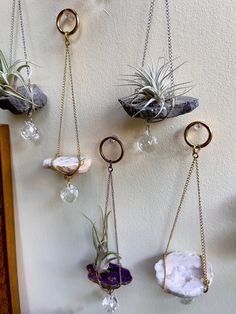 various air plants hanging on the wall with chains and rings attached to each planter