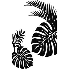 a black and white image of two tropical leaves