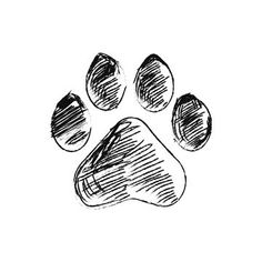 hand drawn dog paw with three balls on it's paws, sketched in black ink