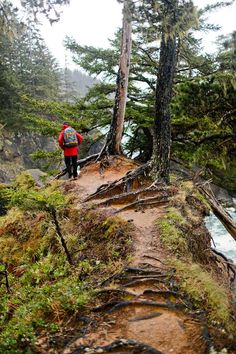 a person walking up a trail in the woods with trees on either side and water running through it