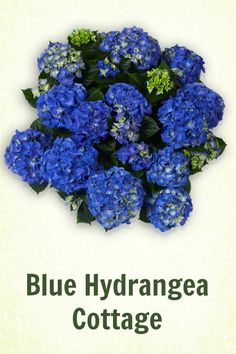 blue hydrangea cottage is shown in this image with the words, blue hydrangea cottage