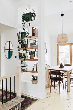 a living room filled with lots of furniture and plants on top of bookshelves