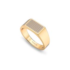 This ring boasts a fully paved surface of lab-grown diamonds, set within a classic rectangular Signet ring design¡ªa timeless fashion statement, perfect for any occasion. ?| Metal: Silver Color: Sterling Silver (925 Sterling Silver is a lightweight metal made of 92.5% pure silver. It¡¯s highly durable and designed for everyday wear) Gold Color: 18K Gold Vermeil (Not to be confused with regular gold plating, our vermeil is a thick layer of 18k solid gold on sterling silver meaning it will last lo Luxury White Gold Rectangular Ring, Luxury Rectangular White Gold Rings, Luxury Diamond Ring With Rectangular Stone, Luxury Rectangular Diamond Rings, Luxury Rectangular Single Cut Diamond Ring, Luxury Rings With Diamond Accents And Rectangular Stone, Luxury Rings With Rectangular Diamond Accents, White Gold Diamond Signet Ring Rectangular, Luxury Diamond Rectangular Signet Ring