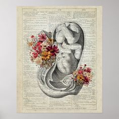 an old book page with flowers and a drawing of a baby in the stomach on it