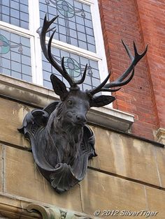 a statue of a deer head on the side of a building