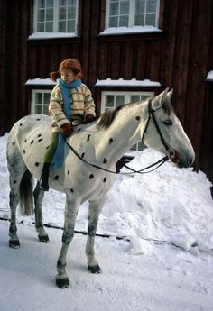 Pippi Langkous met paard Witje in de sneeuw White Horse, The Snow, The Back, White