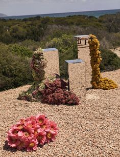 some flowers are in the middle of a gravel area