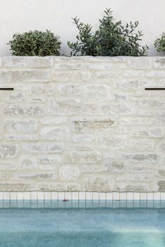 an empty swimming pool in front of a stone wall with plants growing on the ledge