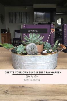 a potted plant sitting on top of a wooden table next to a sign that says create your own succulent tray garden