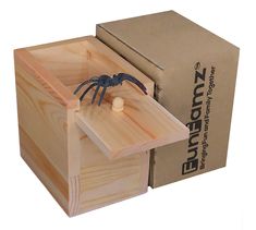 a wooden box with a spider in it