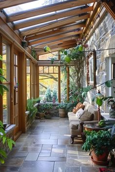 a room filled with lots of plants and windows