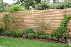 a wooden fence in the middle of a yard with plants growing on top of it