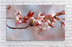 a bee is sitting on a branch with pink and white flowers in front of a brick wall