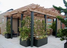 an outdoor area with several planters on it