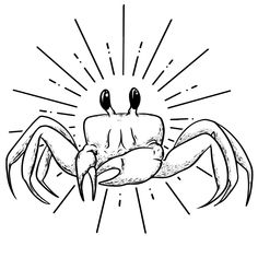 a black and white drawing of a crab with sunbursts in the background