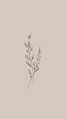 a black and white drawing of a plant on a light gray background with the words,