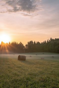 hay bales in a field with the sun setting behind them